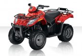 2010 Arctic Cat 300 photo